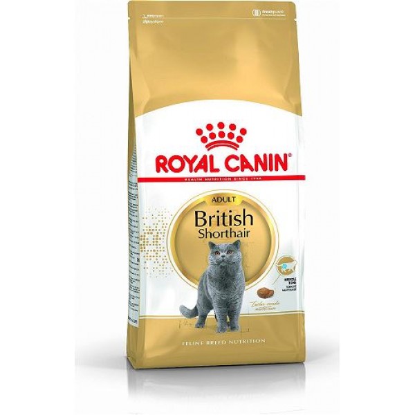 Royal Canin British Shorthair 10 kg Yetişkin Kuru Kedi Maması